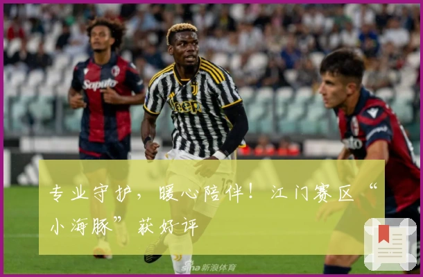 专业守护，暖心陪伴！江门赛区“小海豚”获好评